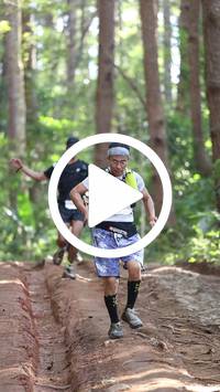 BIB:  <button type="button" onclick="openModal(26569713)" class="btn btn-primary btn-sm float-right" data-toggle="modal" data-target=".modal-high-quality">
                <i class="fa fa-download"></i> Download
                </button>